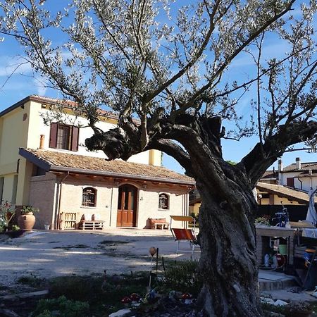 Il Focolare B&B Casa Ottani Exterior photo